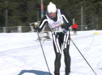 Langlauf in den Winterwäldern